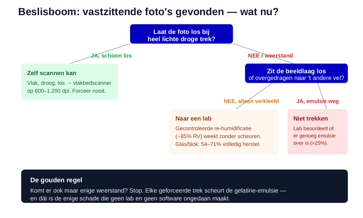 Beslisboom voor verkleefde foto's: laat de foto los bij lichte droge trek, dan zelf scannen; bij weerstand naar een lab voor re-humidificatie; bij losgelaten emulsie niet trekken